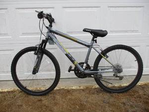 lot 11 image: Roadmaster Bike