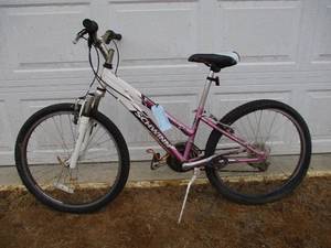 lot 12 image: Schwinn Bike