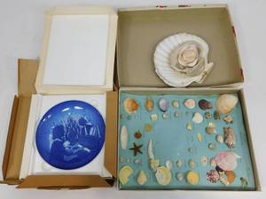 Copenhagen PorcelainSea Shells