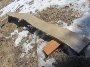 lot 218 image: Wooden Slab - Pine