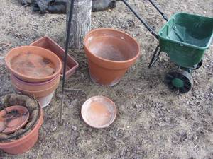 lot 250 image: Gardening