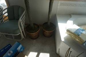 2 - Large Artificial Palm Tree Planters