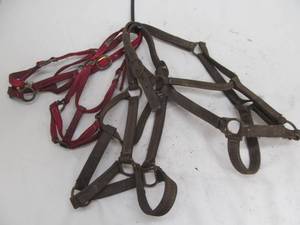 lot 94 image: halters