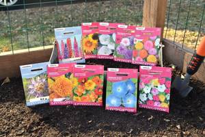 Lot of 10 Annual Flower and Perennial Flower Seed Packets