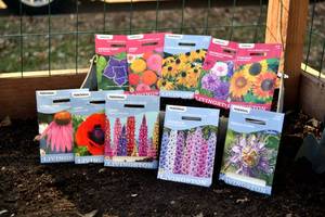 Lot of 10 Annual Flower and Perennial Flower Seed Packets