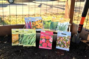 Lot of 10 Herb, Vegetable, Annual Flower, and Perennial Flower Seed Packets