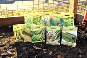 Lot of 10 Herb & Vegetable Seed Packets