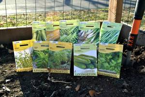 Lot of 10 Herb & Vegetable Seed Packets
