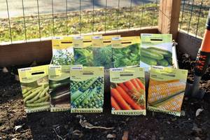 Lot of 10 Herb & Vegetable Seed Packets