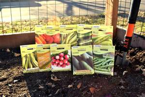 Lot of 10 Vegetable Seed Packets