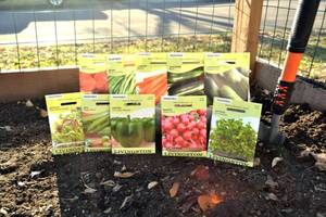 Lot of 10 Vegetable Seed Packets