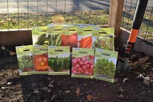 Lot of 10 Vegetable Seed Packets