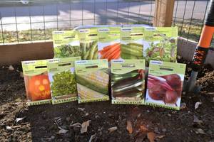 Lot of 10 Vegetable Seed Packets