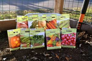 Lot of 10 Vegetable & Fruit Seed Packets