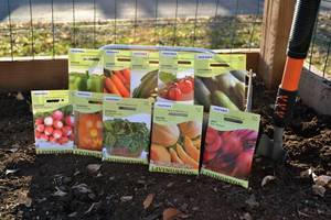 Lot of 10 Vegetable & Fruit Seed Packets