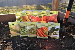 Lot of 10 Vegetable & Fruit Seed Packets