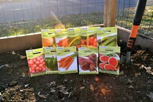 Lot of 10 Vegetable & Fruit Seed Packets