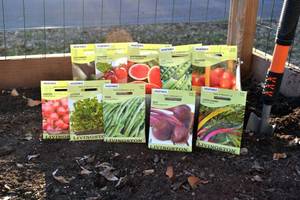 Lot of 10 Vegetable & Fruit Seed Packets