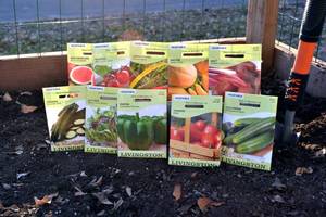 Lot of 10 Vegetable & Fruit Seed Packets