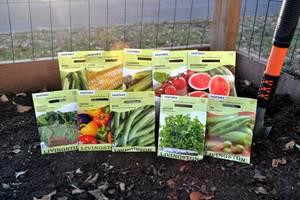 Lot of 10 Vegetable & Fruit Seed Packets