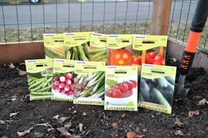 Lot of 10 Vegetable & Fruit Seed Packets