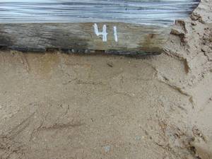 lot 41 image: Landscaping Blocks