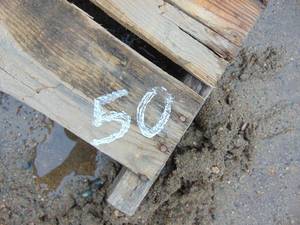 lot 50 image: Landscaping Blocks