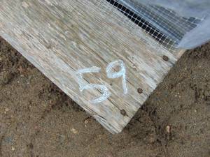 lot 59 image: Landscaping Blocks