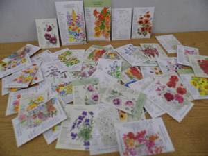 50 Packs Assorted Botanical Interest Seeds