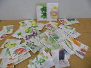 50 Packs Assorted Botanical Interest Seeds