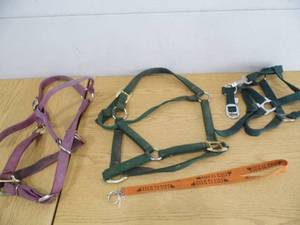 Lot of 3 Halters