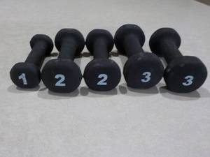 lot 120 image: set of 5 weights...