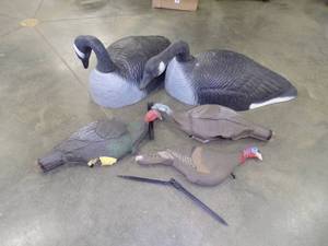 lot 29 image: Decoys, Goose and Turkey