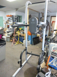 lot 209 image: Golds Gym XR10.0 Power Tower