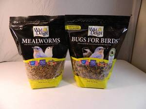 New Mealworms and Bugs for Birds