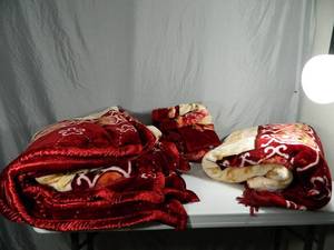 4 Piece King Bedding Set