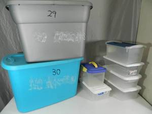 Assorted Totes with Lids