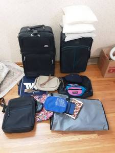 lot 47 image: Suitcases, Travel Bags, Travel Pillows