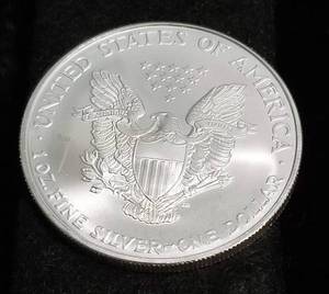 2007 AMERICAN SILVER EAGLE 1 TROY OZ. .999 FINE SILVER DOLLAR
