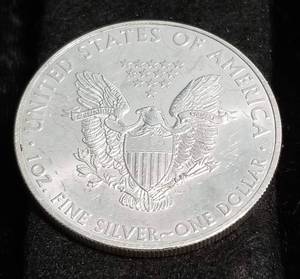 2009 AMERICAN SILVER EAGLE 1 TROY OZ. .999 FINE SILVER DOLLAR