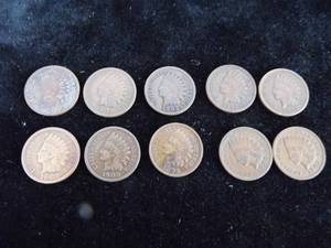 Lot of 10 Indian Head Pennies