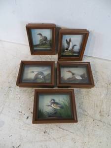 lot 39 image: 5 Pieces of Framed 3D Bird Art