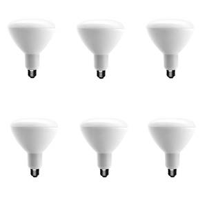 lot 251 image: EcoSmart 75-Watt Equivalent BR40 Di...