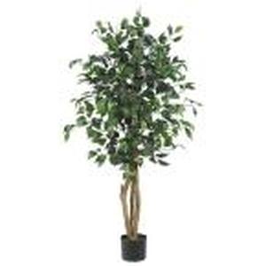 lot 175 image: 4 ft. Ficus Silk Tree by Nearly Nat...