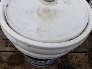 lot 76 image: Gear Oil