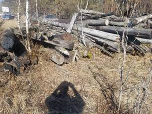 lot 90 image: Large Poles