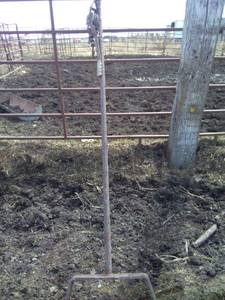 lot 169 image: Calf Puller