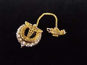 10k Yellow Gold Caduceus Medical Fraternal Pin