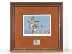 1980-81 Framed, Pencil Signed and Numbered Federal Duck Stamp and Print