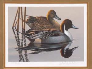 1983-84 Framed, Pencil Signed and Numbered Federal Duck Stamp and Print